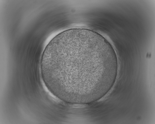 X0000111641440200908141357