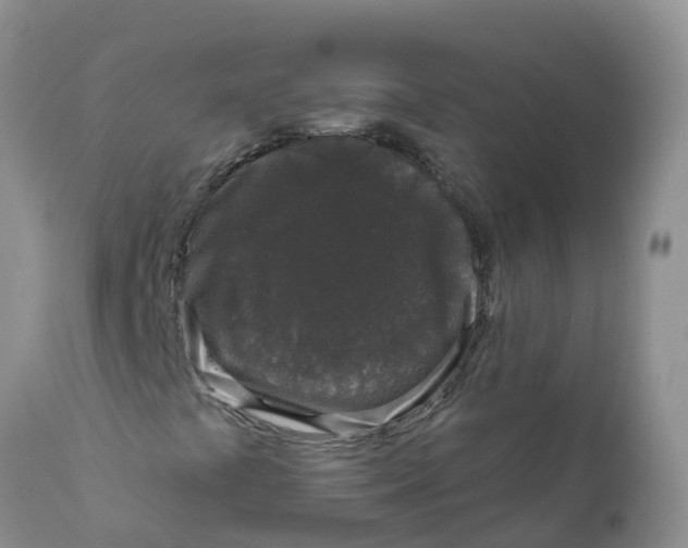 X0000111641441200908141356