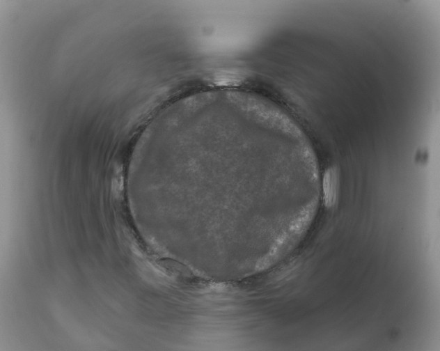 X0000111641443200908141356