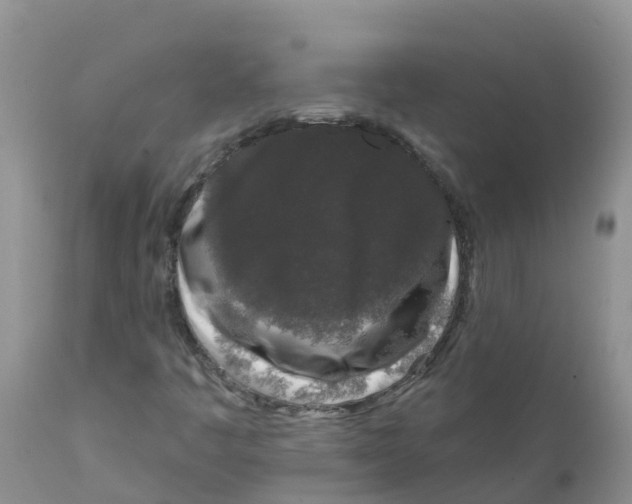 X0000111641445200908141356