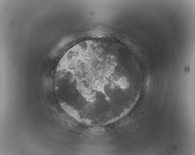 X0000111641446200908141356