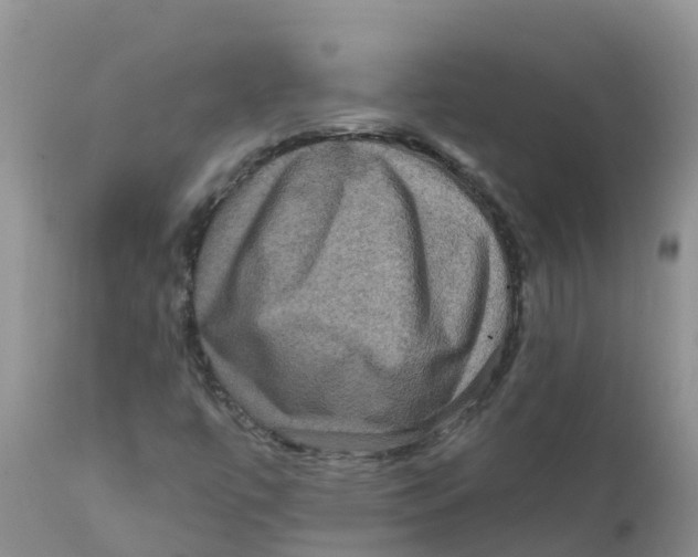 X0000111641447200908141356