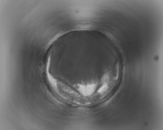 X0000111641449200908141356