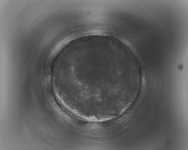 X0000111641450200908141356