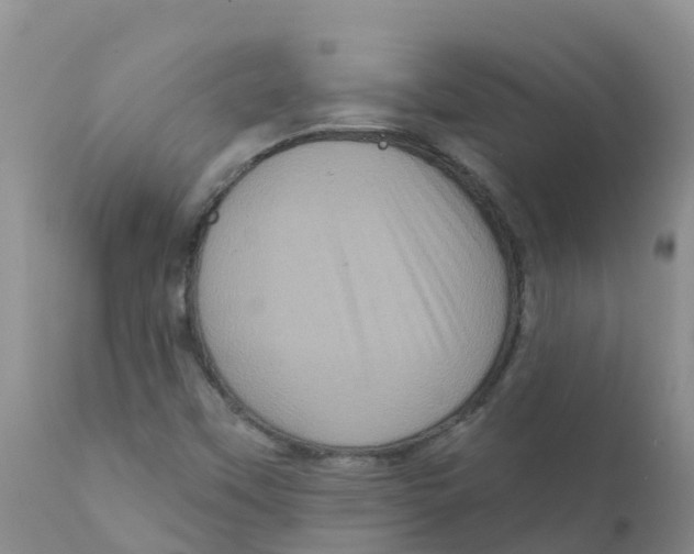 X0000111641451200908141356