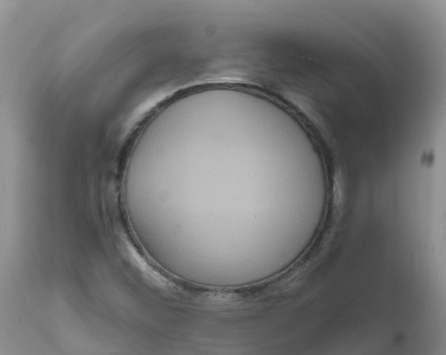 X0000111641452200908141356