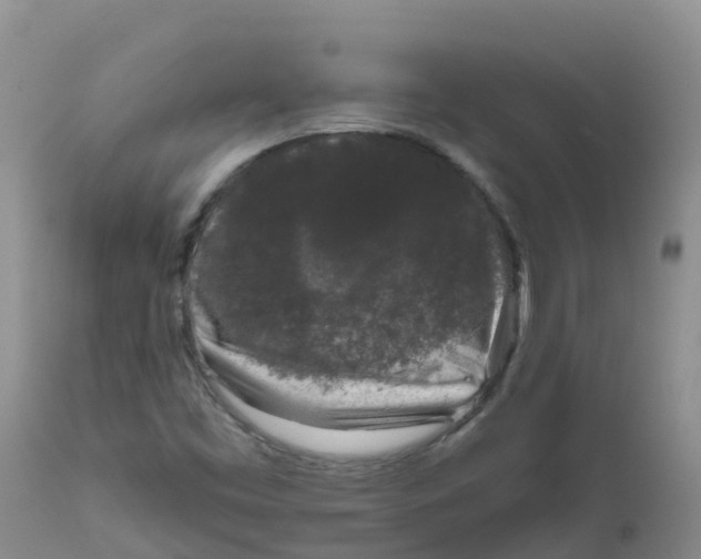 X0000111641453200908141356