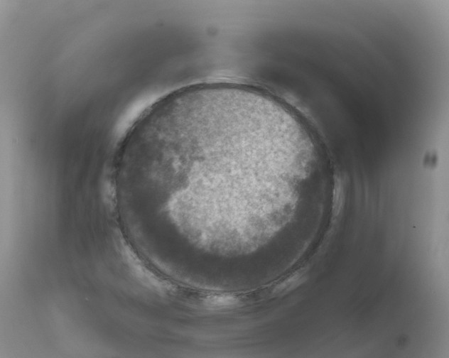 X0000111641454200908141356