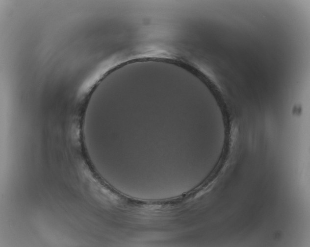 X0000111641455200908141356