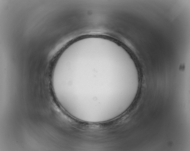 X0000111641456200908141356