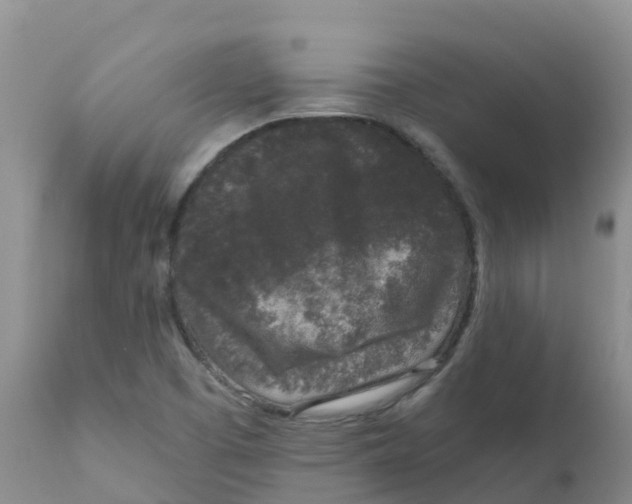 X0000111641457200908141356