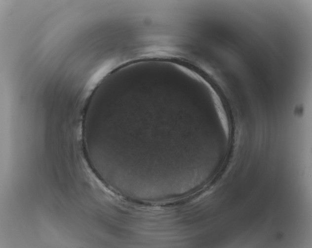 X0000111641459200908141356