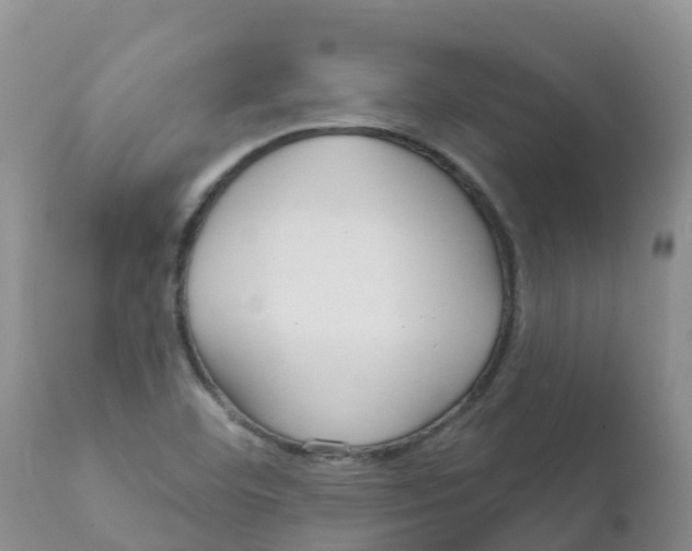 X0000111641460200908141355
