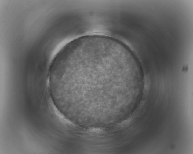 X0000111641462200908141355
