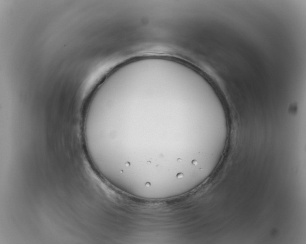 X0000111641464200908141355