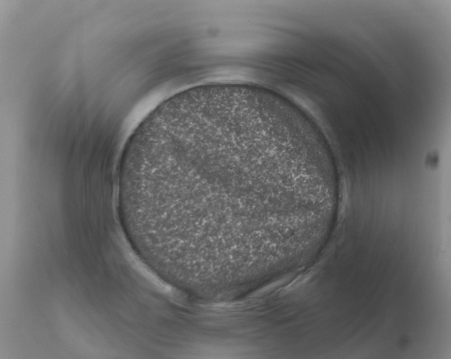 X0000111641467200908141355
