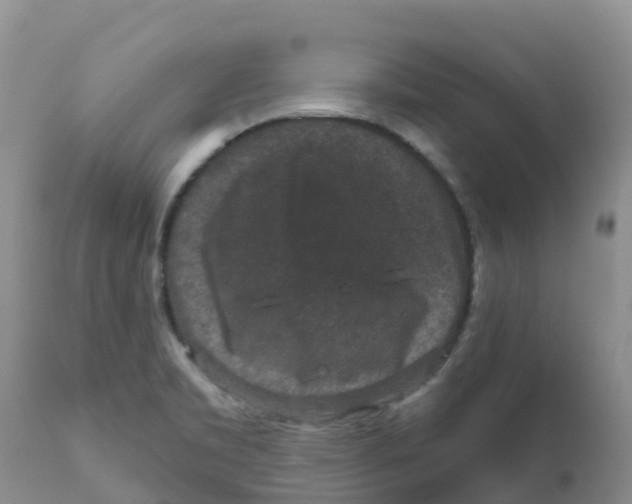 X0000111641469200908141355