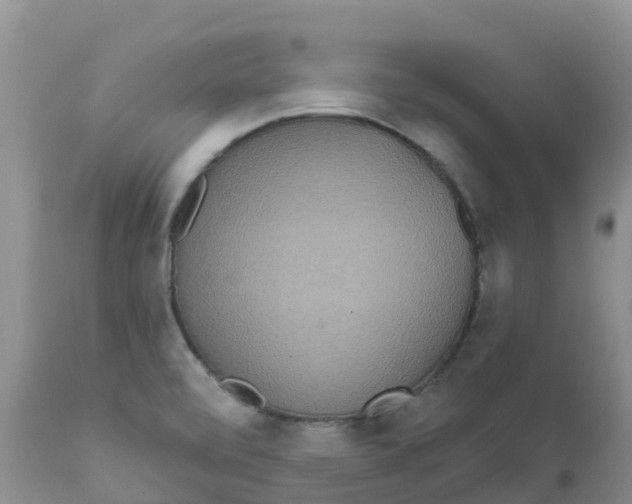X0000111641472200908141355