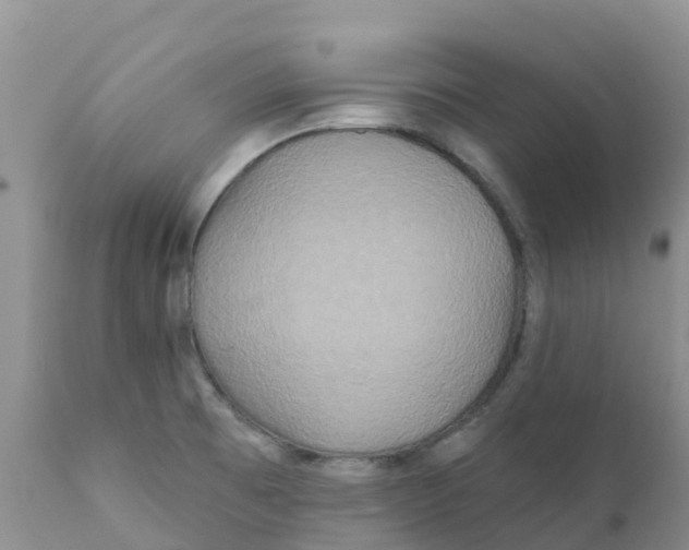X0000111641473200908141355