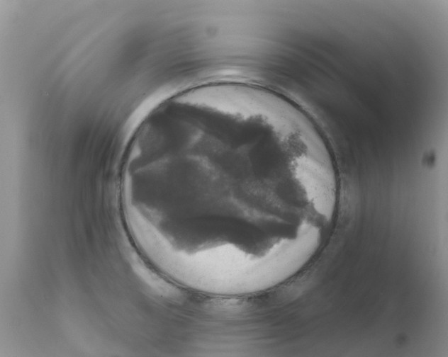 X0000111641474200908141355