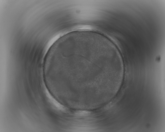 X0000111641475200908141355