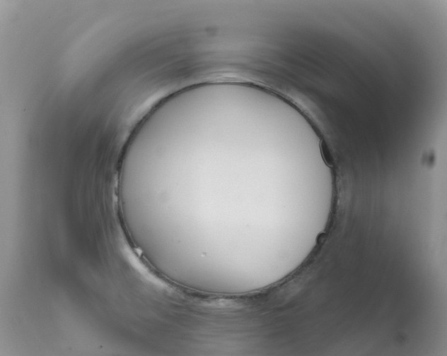 X0000111641476200908141355