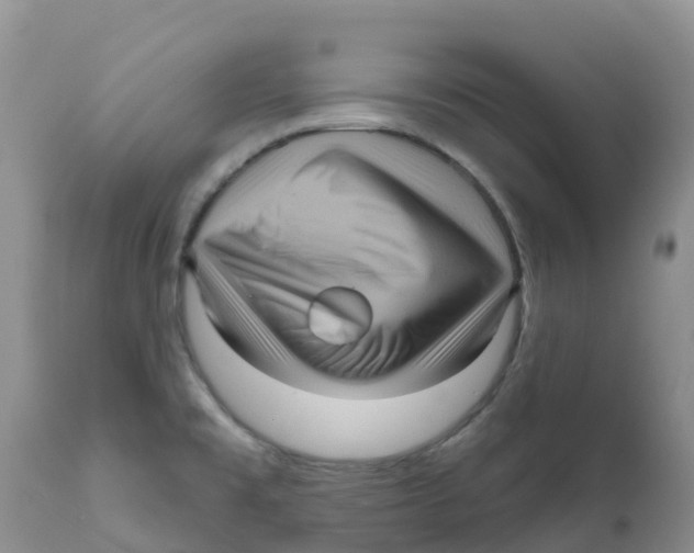 X0000111641477200908141355