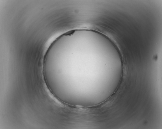 X0000111641480200908141355