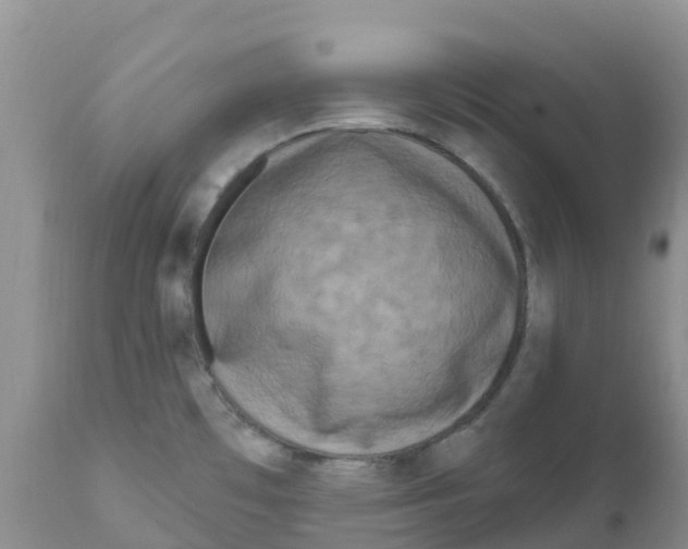 X0000111641481200908141355