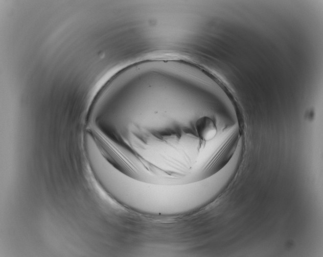 X0000111641484200908141355