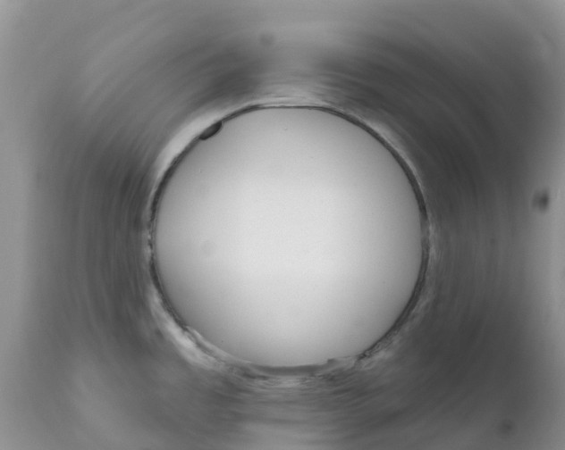 X0000111641485200908141355