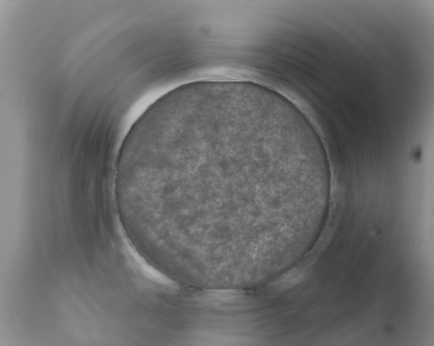 X0000111641486200908141355