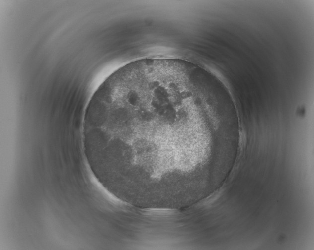 X0000111641487200908141355