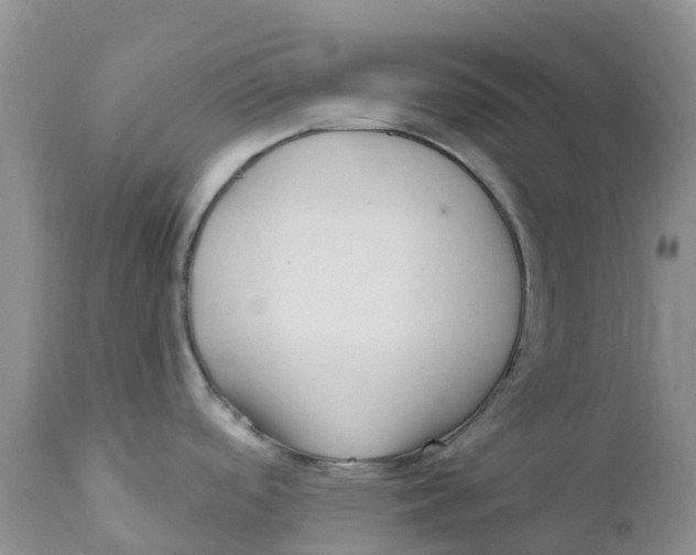 X0000111641488200908141355