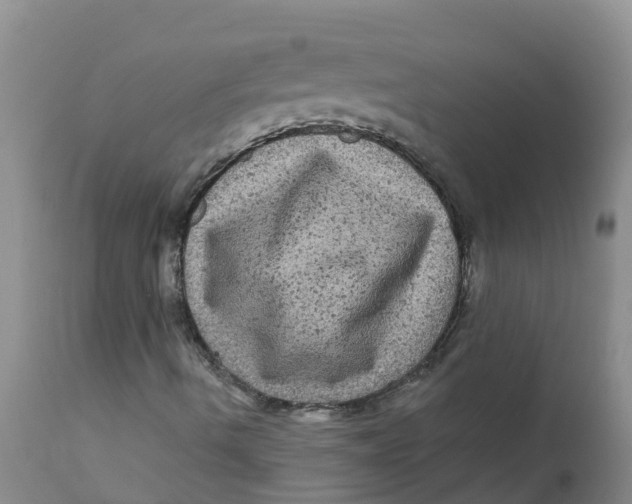 X0000111641490200908141354