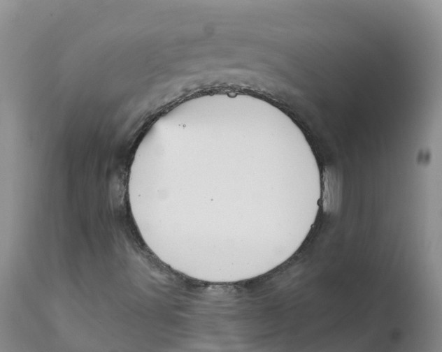 X0000111641491200908141354