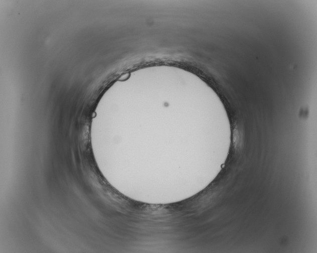X0000111641492200908141354