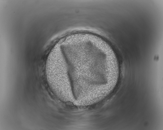 X0000111641494200908141354
