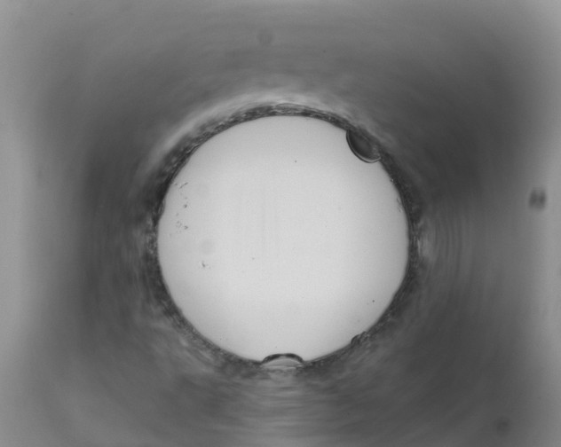 X0000111641495200908141354