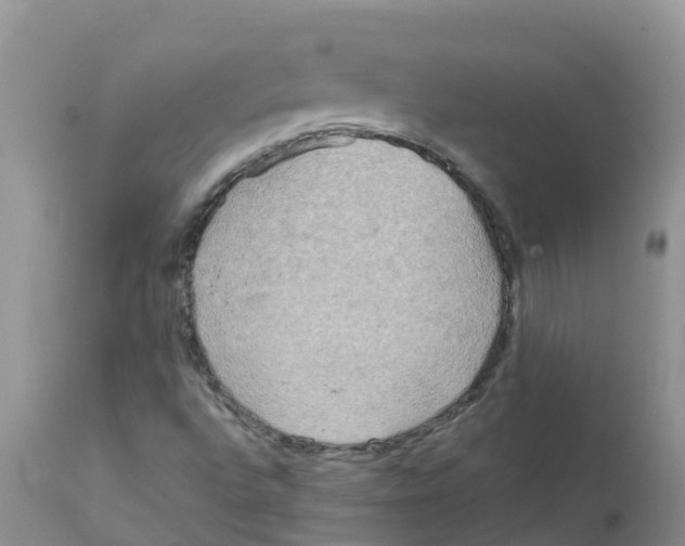 X0000111641496200908141355