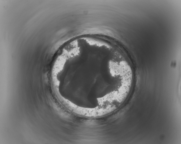X0000111641497200908141355