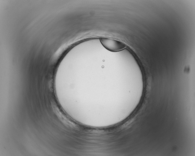 X0000111641499200908141355