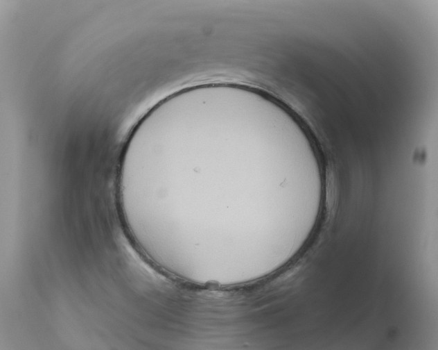 X0000111641500200908141355