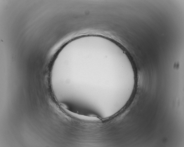 X0000111641502200908141355