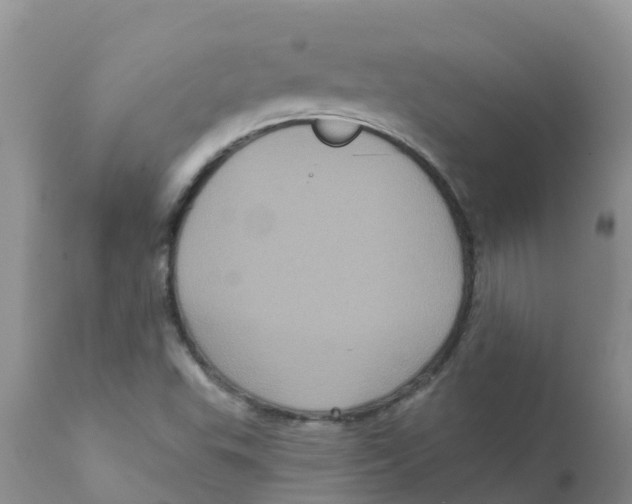 X0000111641503200908141355