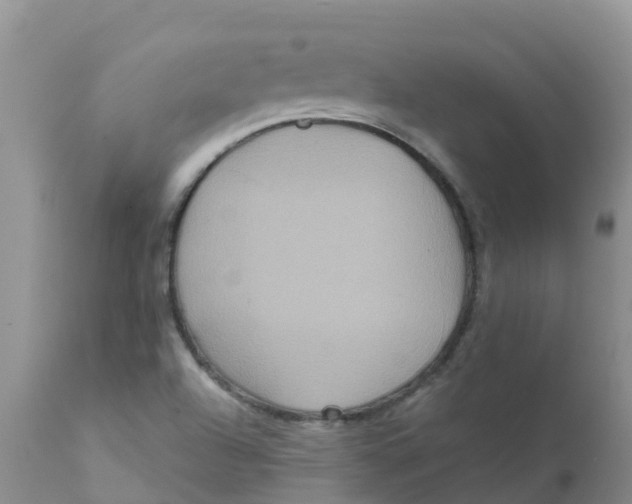 X0000111641504200908141355