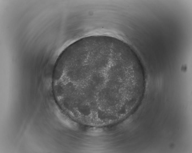 X0000111641505200908141355