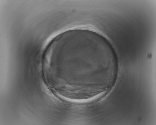 X0000111641506200908141355