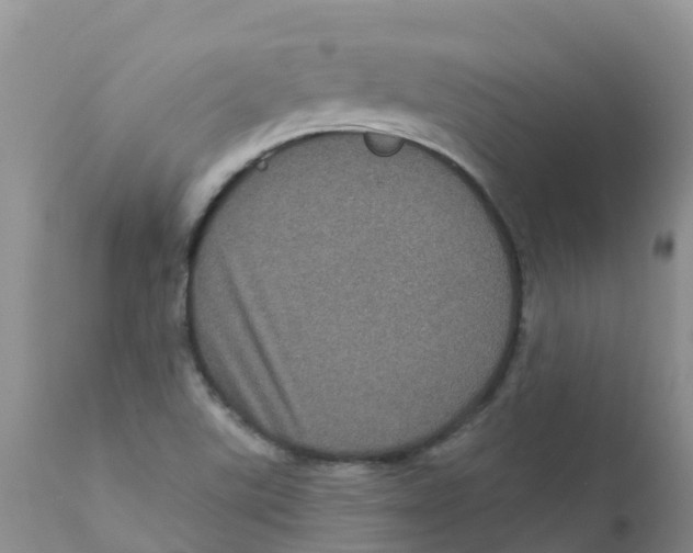 X0000111641507200908141355