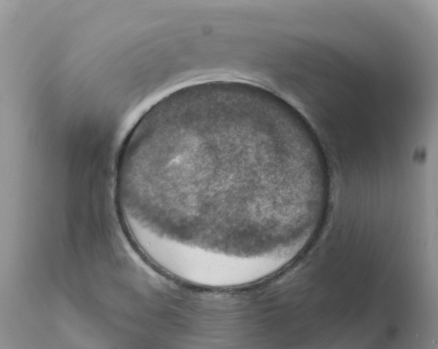 X0000111641508200908141355